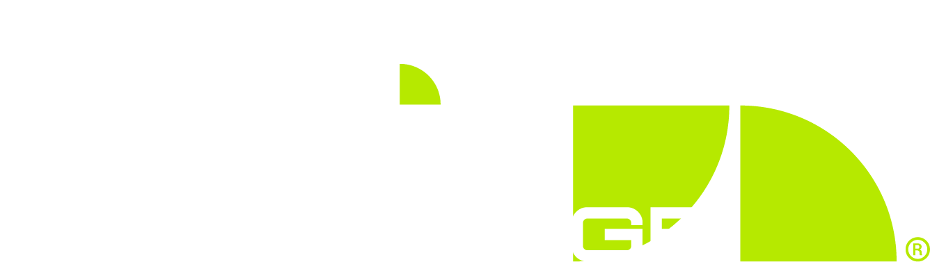 EcoGarage Torino servizi per la mobilità elettrica 